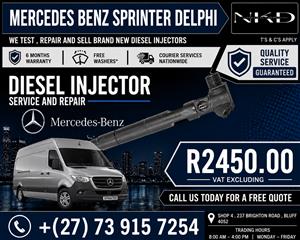 For_A_Mercedes_Sprinter_Delphi_Injectors 