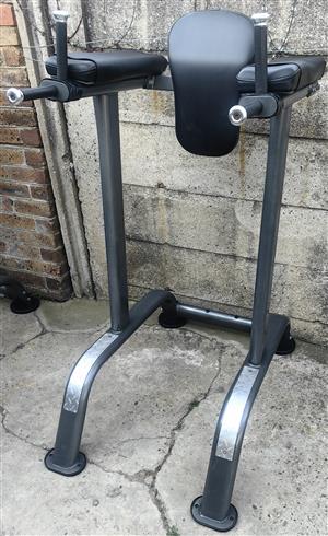 Vertical Knee Raise  