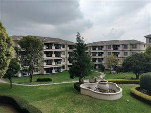 Apartment For Sale in Noordwyk