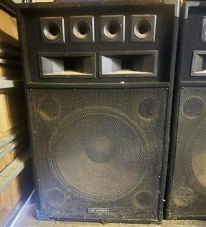21 inch Speakers