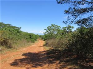 Vacant Stand For sale in Bathurst