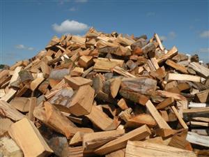 Best Types of Firewood for a Cozy Home: