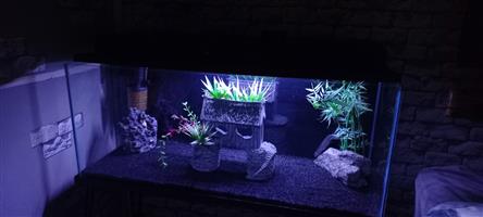 Fish tank for sale 100 L 