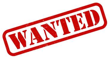 Nissan 1400 Wanted