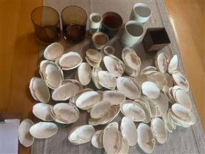 Beautiful Sea Shells