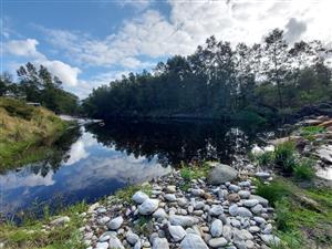 Farm For Sale in George Rural