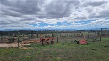 Farm situated in area soon to be developed