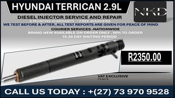 Hyundai Terrican 2.9L Diesel Injectors 