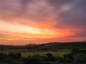 Beautiful Garden unit- secure Estate