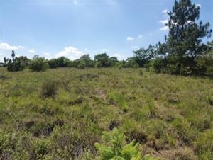 ONE HECTARE IN BUSHVELD AREA FOR SALE KAMEELDRIFT EAST property24