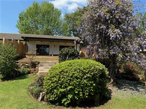 Modern One Bedroom Unit in Hilton is available to Rent