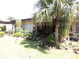 Big stand with two houses East End