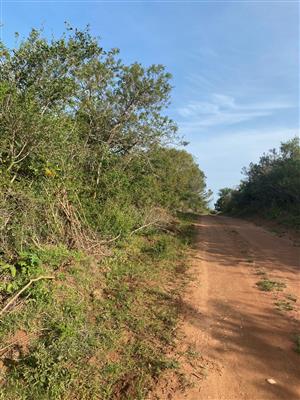 Vacant Stand For sale in Bathurst