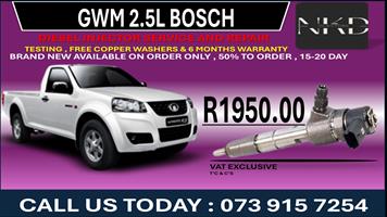 GWM 2.5L Diesel Fuel Injectors 