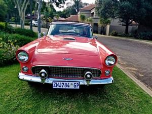 1956 Ford Thunderbird Convert