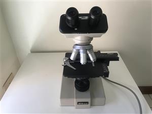 Nikon Microscope
