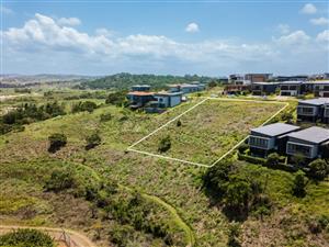 Calling on Developers for Palm Lakes Estate