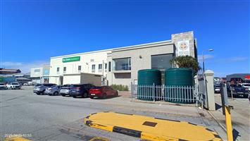 Business Rental Monthly in Newton Park