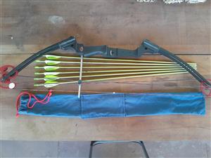 Genesis bow and arrows