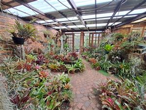 Spacious Family Home with Endless Business Potential in Heidelberg Central