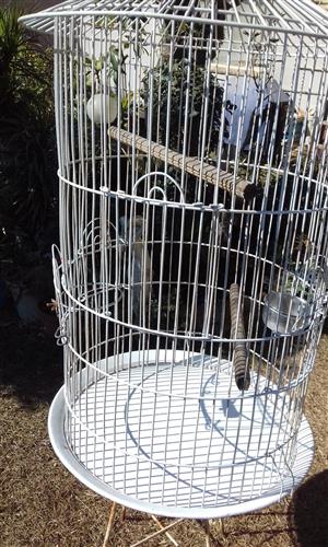 Layer Chicken Cage For Sale Junk Mail