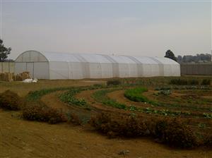 Greenhouse tunnels for sale