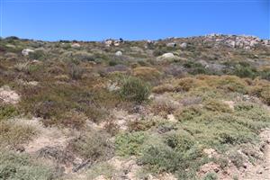 Vacant land for Sale in Kapteinskloof, St Helena Bay