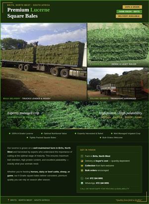 TOP QUALITY LUCERNE SQUARE BALES