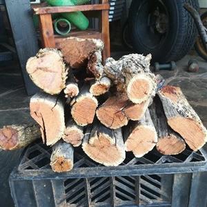 Dry Bosveld braai wood for sale in Centurion 