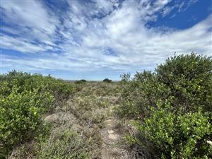 Commercial Stand For Sale