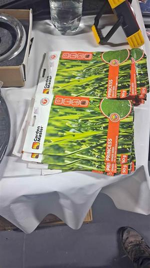 Princess Grass Seed
