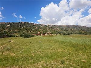 Vacant Land Residential For Sale in Ladybrand