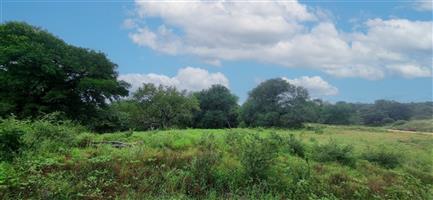 Prime Commercial Stand for Sale in Elephant Rock Eco Estate