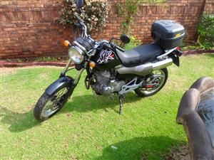 Honda SLR 650cc.