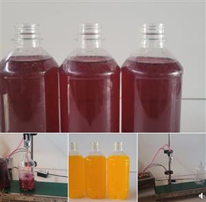 Boost Your Production Line Instantly!   Self‑priming, 220V, no compressor requir