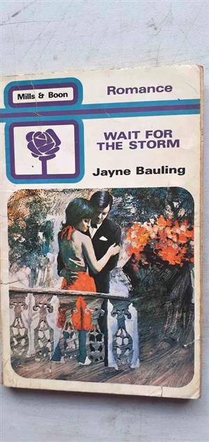 Wait for the storm - Jayne Bauling