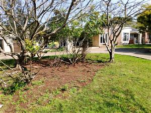 Farm For Sale in East London Rural