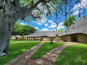 Exceptional 1,168 ha Luxury Game & Irrigation Farm for Sale – Mopane, Limpopo