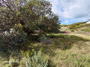 VACANT LAND PARADISE BEACH