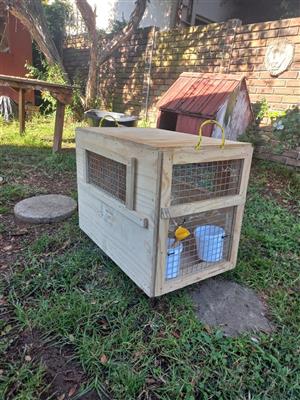 dog wooden transport cage