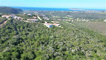 Elevated Living with Ocean & Robberg Nature Reserve Views!