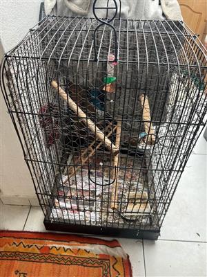 Big bird Cage