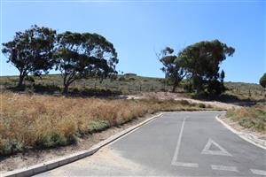 "Prime 471 m2 vacant land with stunning ocean views, perfect for building your dream home.