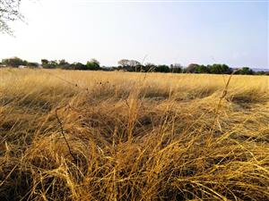 Vacant Land Residential For Sale in Modimolle