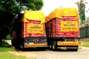 Wood Shavings (For Sale)
