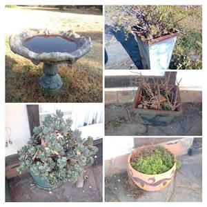 Pot plants/bird baths