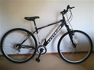 totem 21 speed mountain bike