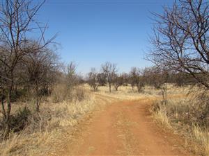 42 Hectare farm in the Cullinan district near Pretoria