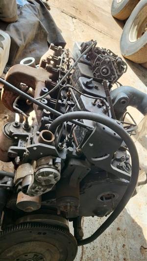 6BT Cummins