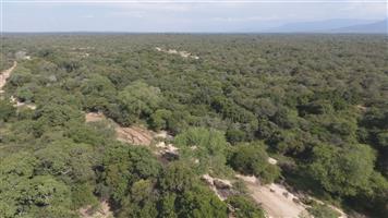 Private 143ha Bushveld Farm in Big 5 Area